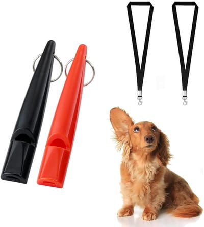 Dailygoods- Hondenfluitje Professioneel - Hondenfluitje Terugroepactie - Hondenfluitje Tegen Blaffen - Lichtgewicht - Inclusief Lanyard - Geschikt voor Puppy Training - Hondentrainingshulpmiddel
