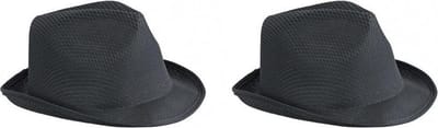 Trilby feesthoedje voor volwassenen - 2x stuks - zwart - Carnaval party verkleed hoeden - Budget prijs