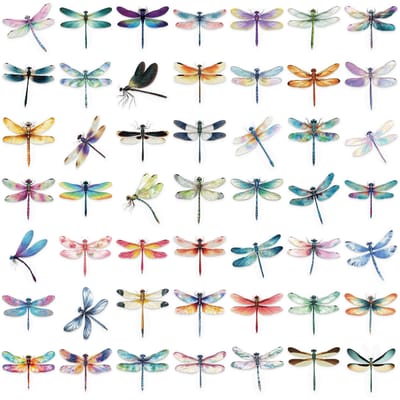 50 Stuks Kleurrijke Libelle Stickers Waterdicht Auto Laptop Telefoon Bagage Scrapbook Gitaar Decoraties Cadeaus white