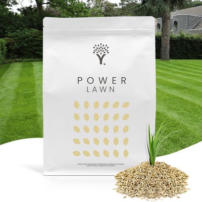 MOOWY Snelkiemend Graszaad voor 50m² Gazon - Power Lawn Hoge Kwaliteit Gras voor een Snel- en Dichtgroeiend Meerjarig Gazon