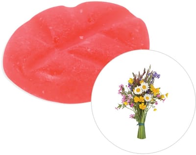 Scentchips® Tuinfeest - Geurblokjes - Huisparfum - Geurchips - Waxmelts - Geschikt voor Geurbrander en Waxbrander - S - 8 Stuks