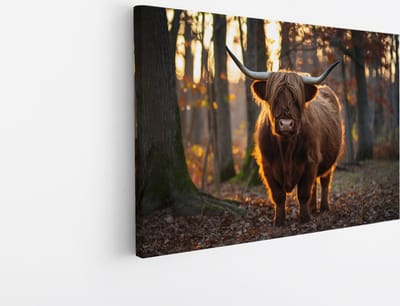 Saammp Canvas Schilderij - Schotse Hooglander Koe in een bos - Dieren - Portret - 45x30 - Foto op canvas - Wanddecoratie - muurdecoratie Woonkamer - Slaapkamer decoratie - Canvas Print