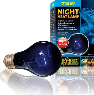 Exo Terra - Warmtelamp - Reptielen - Ex Maanlichtlamp Ng A19 75w - 6x6x10,5cm - 1st