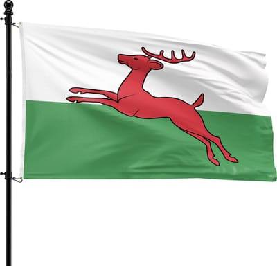 VlagDirect - Smallingerland vlag - Gemeente Smallingerland vlag - 90 x 150 cm.