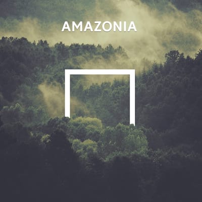Various Artists - Amazonia (CD)