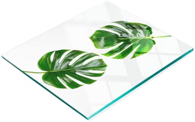 Decoratieve glazen snij- en serveerplank met tropische bladeren, 60x52 cm