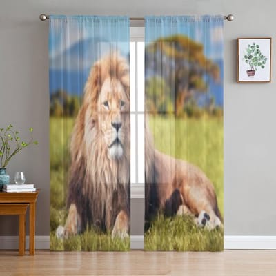 Grote Leeuw Liggend op Savanne Gras Tule Transparante Gordijnen voor Woonkamer de Kamer Slaapkamer Keuken Decoratie Voile Organza Gordijnen 135W x 114H(cm) beige