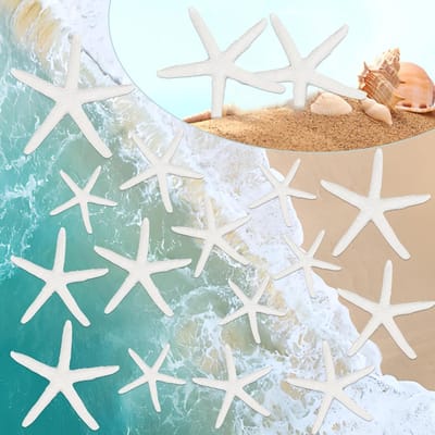 20 Stuks Mini Zeesterren Decoratie voor Bruiloften en Strandthema Feesten, Perfect voor Huisdecoratie en Aquariums