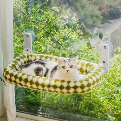 Famanu – Stijlvolle kattenhangmat - raambed voor binnenkatten - opvouwbaar - pluche kattenraamstoel met afneembare dikke hoes - stevig stalen frame met 4 zuignappen - belastbaar tot 18 kg (groen - M-met bed)