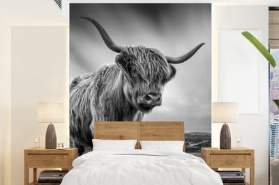 Behang - Fotobehang Koeien - Schotse hooglander - Natuur - Dieren - Zwart wit - Breedte 190 cm x hoogte 260 cm