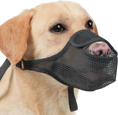 Dailygoods - Hond ademende muilkorven voor honden, verstelbare muilkorf voor grote zacht roosterweefsel, muilkorf voor middelgrote honden, kleine voor verschillende hondenrassen (XL)
