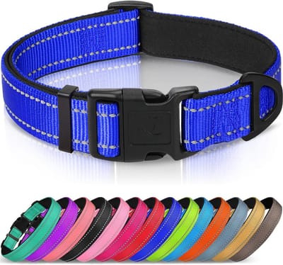Reflecterende hondenhalsband, zachte neopreen gewatteerd, metalen D-ring, nylon halsband verstelbaar voor extra grote honden, koningsblauw, XS
