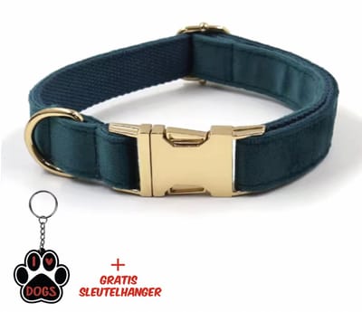 SilverAndCoco® - Groen / Blauwe Honden Halsband met Gratis Sleutelhanger | Velvet Hond Puppy Bandje | Hondenhalsband Suède Gouden | Kleding Decoratie | Hondenbandje Huisdier - Groene / Blauw / Goud