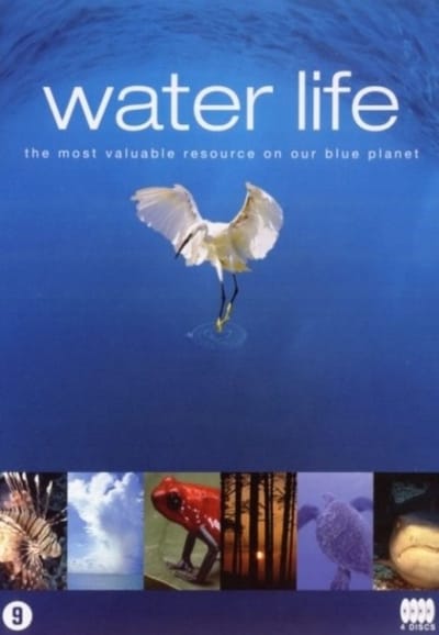 Special Interest - Waterlife