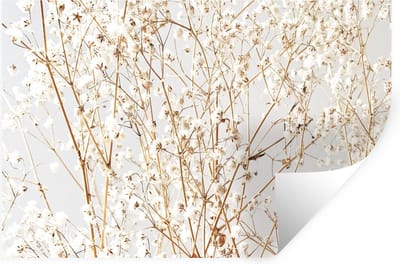 Muurstickers - Sticker Folie - Natuur - Takken - Bloemen - 30x20 cm - Plakfolie - Muurstickers Kinderkamer - Zelfklevend Behang - Zelfklevend behangpapier - Stickerfolie