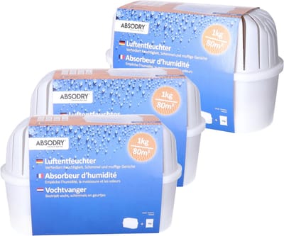 3x stuks vochtopnemer - 1000 gram - Vochtvanger - Voorkomt geurtjes en schimmels