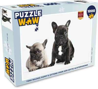 Puzzel Twee Buldog puppy's zittend voor een witte achtergrond - Legpuzzel - Puzzel 1000 stukjes volwassenen