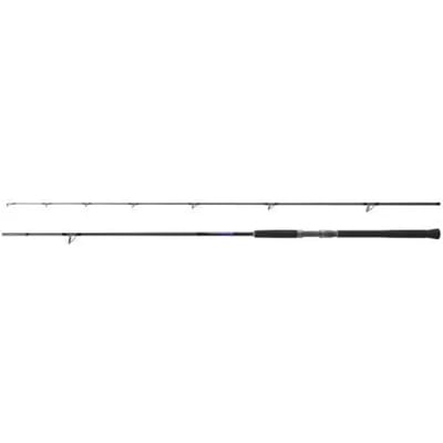 Shimano Fishing Bb S96m Spinhengel Zilver 2.90 m / 45 g