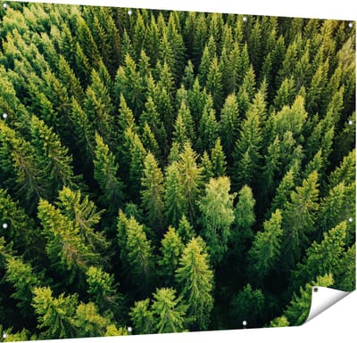 Gards Tuinposter Bos met Bomen vanaf Boven - 150x120 cm - Tuindoek - Tuindecoratie - Wanddecoratie buiten - Tuinschilderij
