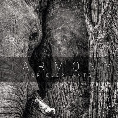 Harmony For Elephants - A Charity Album