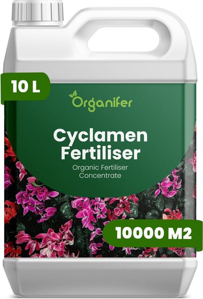 Vloeibare Meststof Voor Cyclaam 10 L Voor 10000 M2 - Npk 2-1-8 - Sterke Groei - Rijke Bloei - Knolontwikkeling - Plantgezondheid - Weerbaarheid - Decoratief Blad - Kleurhelderheid - Knopvorming - Organifer