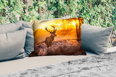 Buitenkussens - Hert - Dieren - Zonsondergang - Winter - Heide - Natuur - 60x40 cm - Weerbestendig