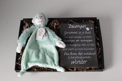 Brievenbus cadeau Monkey Micky - knuffel doek - cadeau zwangerschap