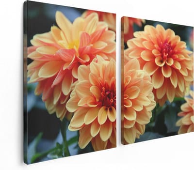 Artaza Canvas Schilderij Tweeluik Oranje Dahlia Bloemen  - 120x80 - Foto Op Canvas - Canvas Print
