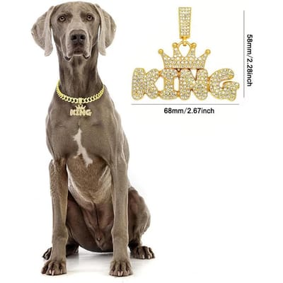 Hondenhalsband Koning/Koningin Hip Hop Legering Goud Verguld Volledig Diamant Volledig Diamant Grote Gouden Ketting Cubaanse Voor Kleine Middelgrote Grote Honden (as the picture,25cm)