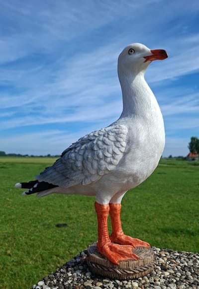 Realistische Zeemeeuw op Paal - 42 cm Hoog - Polystone Tuinbeeld Meeuw - Zeemeeuw - Seefugel -Decoratieve Strandvogel - Handgeschilderd & Weerbestendig - Maritieme Decoratie