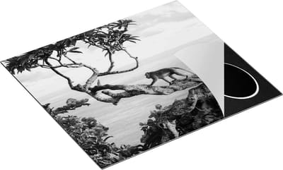 Chefcare Inductie Beschermer Aap Klimt in een Boom aan het Water - Zwart Wit - 60x50 cm - Afdekplaat Inductie - Kookplaat Beschermer - Inductie Mat