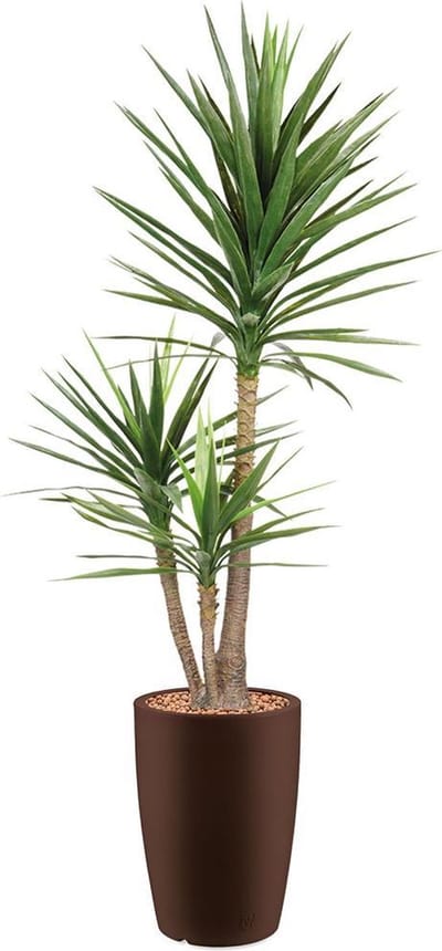 HTT - Kunstplant Yucca in Genesis rond bruin H200 cm