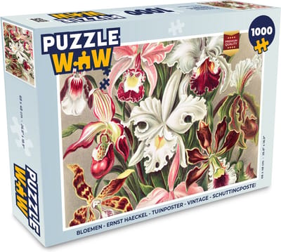 Puzzel Bloemen - Ernst Haeckel - Vintage - Orchidee - Legpuzzel - Puzzel 1000 stukjes volwassenen