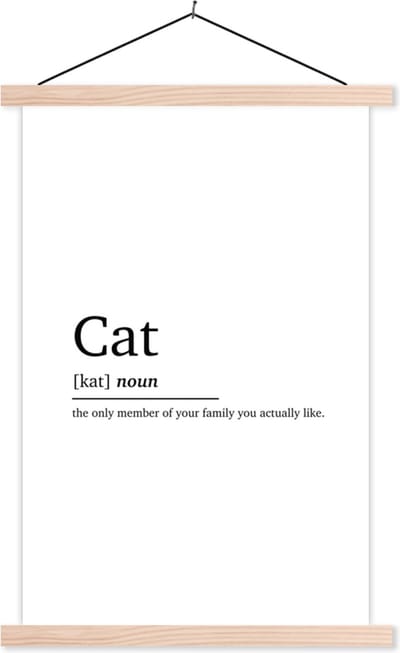 Posterhanger incl. Poster 40x60 cm - Schoolplaat - Quotes - Kat definitie - Cat - Spreuken - Woordenboek - Textielposter - Blanke latten