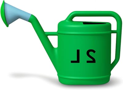 Kunststof Gieter - Waterkan Planten - Planten Verzorgen - Ergonomisch Ontwerp - 2 Liter - Groen