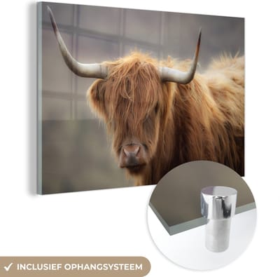 MuchoWow® Glasschilderij 120x80 cm - Schilderij acrylglas - Schotse Hooglander - Hoorns - Haar - Foto op glas - Schilderijen