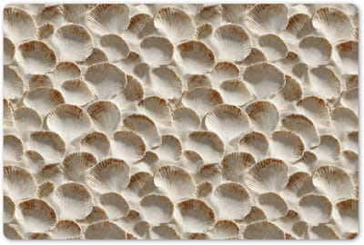 Placemats 45x30 cm - Placemat kunststof - 1 stuk - Schelpen - Waaiervorm - Wit - Borden onderleggers - Decoratie voor op tafel - Keuken tafeldecoratie accessoires - Vinyl onderlegger - Tafelversiering