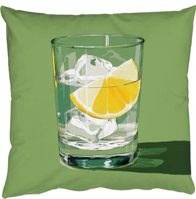 Sierkussens - Kussentjes Woonkamer - 50x50 cm - Glas - Citroen - Ijsblokjes - Groen