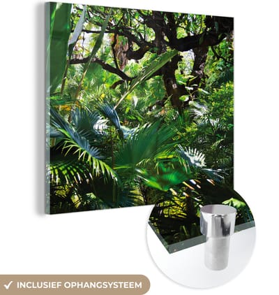 MuchoWow® Glasschilderij 50x50 cm - Schilderij acrylglas - Prachtige patronen van bladeren en bomen in een regenwoud - Foto op glas - Schilderijen