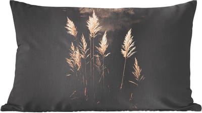 Sierkussens - Kussentjes Woonkamer - 60x40 cm - Siergras - Pluimen - Verlichting - Zwart