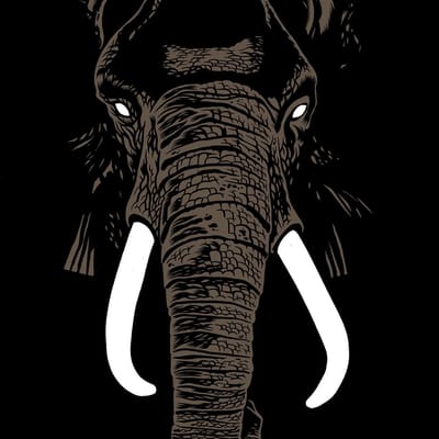 Palm Unit - Don't Buy Ivory Anymore - The Music Of Henri Texier (LP)