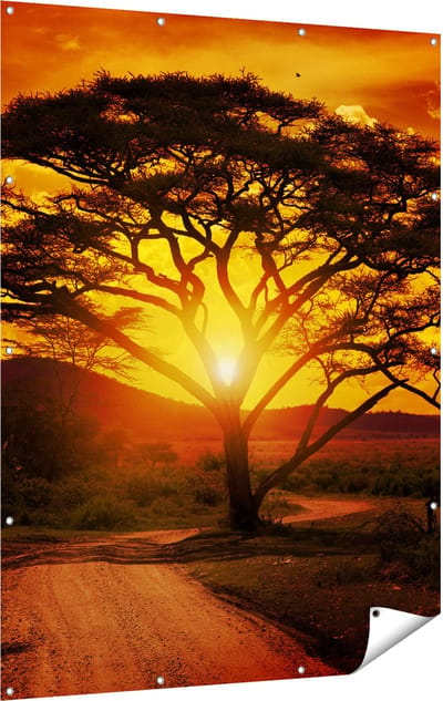 Gards Tuinposter Zonsondergang Achter een Savanne Boom - 120x160 cm - Tuindoek - Tuindecoratie - Wanddecoratie buiten - Tuinschilderij