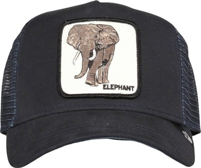 Goorin Bros. Elephant Trucker cap - Blue