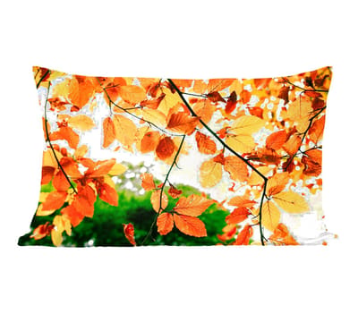 Sierkussens - Kussentjes Woonkamer - 50x30 cm - Herfstbladeren - Boom - Landelijk