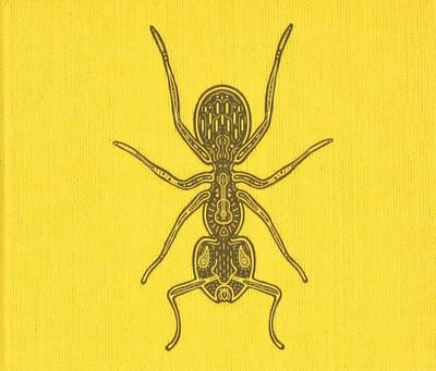 Hermano Hormiga - Ant Farm - Educatieve Observatie - Gedetailleerd Leefgebied - 32 x 32 x 2 cm - Niet gespecificeerd