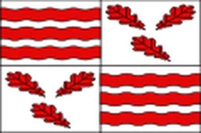 Vlag Froidchapelle 150x225cm