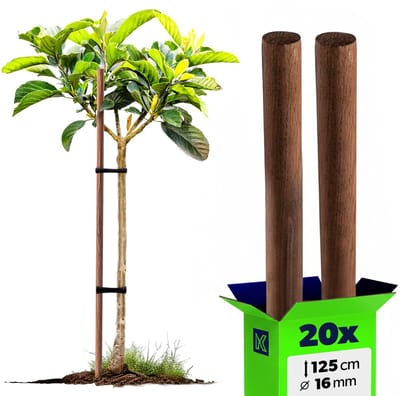 KADAX Klimhulp van hout, geïmpregneerde plantenstokken, klimplantenstaaf, weerbestendige klimstang, bloemenstok, rankrooster, houten palen, palen (20, 16 mm x 125 cm)