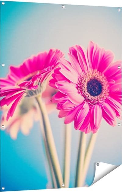 Gards Tuinposter Twee Roze Anjers - Bloemen - 90x120 cm - Tuindoek - Tuindecoratie - Wanddecoratie buiten - Tuinschilderij