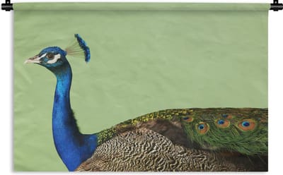 Wandkleed - Wanddoek - Pauw - Vogel - Veren - 180x120 cm - Wandtapijt