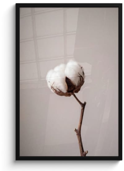 Poster in lijst - Fotolijst 60x90 cm - Posters - Katoenbol - Minimalistisch - Wit - Posterlijst zwart - Decoratie - Wanddecoratie woonkamer - Muurdecoratie slaapkamer